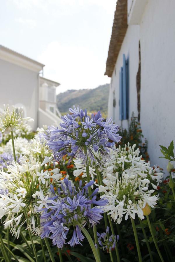 Il Borghetto Creative Resort Tropea Esterno foto